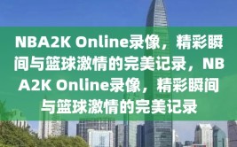 NBA2K Online录像，精彩瞬间与篮球激情的完美记录，NBA2K Online录像，精彩瞬间与篮球激情的完美记录