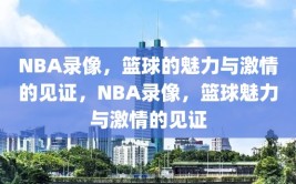 NBA录像，篮球的魅力与激情的见证，NBA录像，篮球魅力与激情的见证