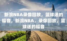 新浪NBA录像回放，篮球迷的福音，新浪NBA，录像回放，篮球迷的福音