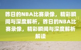 昨日的NBA比赛录像，精彩瞬间与深度解析，昨日的NBA比赛录像，精彩瞬间与深度解析解读