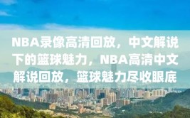 NBA录像高清回放，中文解说下的篮球魅力，NBA高清中文解说回放，篮球魅力尽收眼底