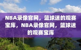 NBA录像官网，篮球迷的观赛宝库，NBA录像官网，篮球迷的观赛宝库