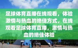 足球体育直播在线观看，体验激情与热血的绝佳方式，在线观看足球体育直播，激情与热血的绝佳体验