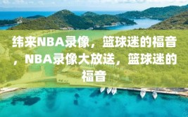 纬来NBA录像，篮球迷的福音，NBA录像大放送，篮球迷的福音