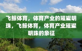 飞鲸体育，体育产业的璀璨明珠，飞鲸体育，体育产业璀璨明珠的象征
