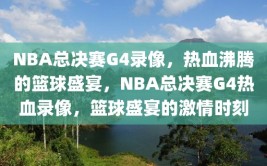 NBA总决赛G4录像，热血沸腾的篮球盛宴，NBA总决赛G4热血录像，篮球盛宴的激情时刻