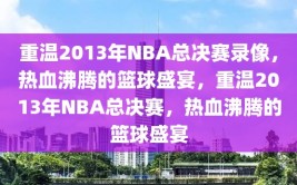 重温2013年NBA总决赛录像，热血沸腾的篮球盛宴，重温2013年NBA总决赛，热血沸腾的篮球盛宴