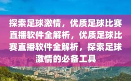 探索足球激情，优质足球比赛直播软件全解析，优质足球比赛直播软件全解析，探索足球激情的必备工具