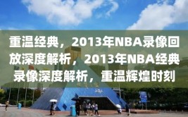 重温经典，2013年NBA录像回放深度解析，2013年NBA经典录像深度解析，重温辉煌时刻