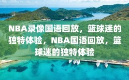 NBA录像国语回放，篮球迷的独特体验，NBA国语回放，篮球迷的独特体验