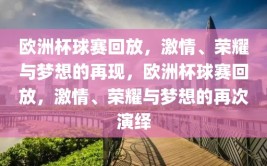 欧洲杯球赛回放，激情、荣耀与梦想的再现，欧洲杯球赛回放，激情、荣耀与梦想的再次演绎