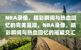 NBA录像，精彩瞬间与热血回忆的完美呈现，NBA录像，精彩瞬间与热血回忆的璀璨交汇