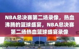 NBA总决赛第二场录像，热血沸腾的篮球盛宴，NBA总决赛第二场热血篮球盛宴录像