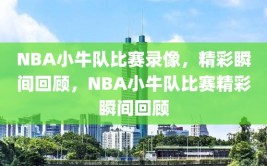 NBA小牛队比赛录像，精彩瞬间回顾，NBA小牛队比赛精彩瞬间回顾