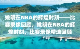 姚明在NBA的辉煌时刻——比赛录像回顾，姚明在NBA的辉煌时刻，比赛录像精选回顾