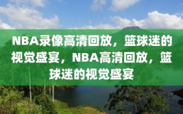 NBA录像高清回放，篮球迷的视觉盛宴，NBA高清回放，篮球迷的视觉盛宴