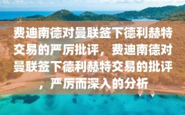 费迪南德对曼联签下德利赫特交易的严厉批评，费迪南德对曼联签下德利赫特交易的批评，严厉而深入的分析