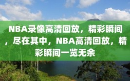 NBA录像高清回放，精彩瞬间，尽在其中，NBA高清回放，精彩瞬间一览无余