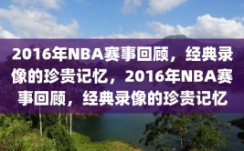 2016年NBA赛事回顾，经典录像的珍贵记忆，2016年NBA赛事回顾，经典录像的珍贵记忆