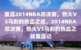 重温2014NBA总决赛，热火VS马刺的热血之战，2014NBA总决赛，热火VS马刺的热血之战重温记