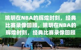 姚明在NBA的辉煌时刻，经典比赛录像回顾，姚明在NBA的辉煌时刻，经典比赛录像回顾