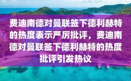 费迪南德对曼联签下德利赫特的热度表示严厉批评，费迪南德对曼联签下德利赫特的热度批评引发热议