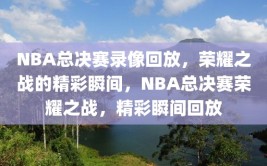 NBA总决赛录像回放，荣耀之战的精彩瞬间，NBA总决赛荣耀之战，精彩瞬间回放