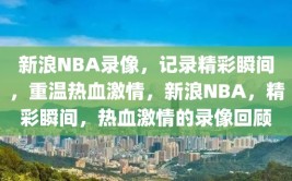 新浪NBA录像，记录精彩瞬间，重温热血激情，新浪NBA，精彩瞬间，热血激情的录像回顾