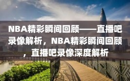 NBA精彩瞬间回顾——直播吧录像解析，NBA精彩瞬间回顾，直播吧录像深度解析