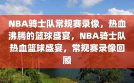 NBA骑士队常规赛录像，热血沸腾的篮球盛宴，NBA骑士队热血篮球盛宴，常规赛录像回顾