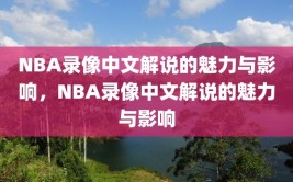 NBA录像中文解说的魅力与影响，NBA录像中文解说的魅力与影响