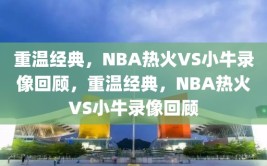 重温经典，NBA热火VS小牛录像回顾，重温经典，NBA热火VS小牛录像回顾