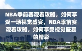 NBA季前赛观看攻略，如何享受一场视觉盛宴，NBA季前赛观看攻略，如何享受视觉盛宴的精彩