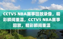 CCTV5 NBA赛事回放录像，精彩瞬间重温，CCTV5 NBA赛事回放，精彩瞬间重温