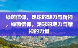 绿茵信仰，足球的魅力与精神，绿茵信仰，足球的魅力与精神的力量