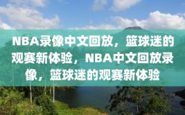 NBA录像中文回放，篮球迷的观赛新体验，NBA中文回放录像，篮球迷的观赛新体验