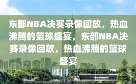 东部NBA决赛录像回放，热血沸腾的篮球盛宴，东部NBA决赛录像回放，热血沸腾的篮球盛宴