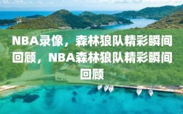 NBA录像，森林狼队精彩瞬间回顾，NBA森林狼队精彩瞬间回顾