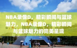 NBA录像D，精彩瞬间与篮球魅力，NBA录像D，精彩瞬间与篮球魅力的完美呈现