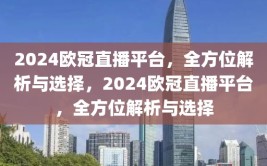 2024欧冠直播平台，全方位解析与选择，2024欧冠直播平台，全方位解析与选择