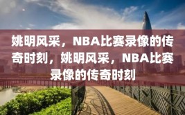 姚明风采，NBA比赛录像的传奇时刻，姚明风采，NBA比赛录像的传奇时刻