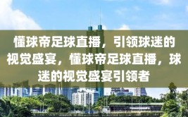 懂球帝足球直播，引领球迷的视觉盛宴，懂球帝足球直播，球迷的视觉盛宴引领者