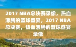 2017 NBA总决赛录像，热血沸腾的篮球盛宴，2017 NBA总决赛，热血沸腾的篮球盛宴录像