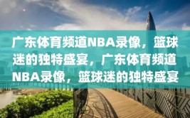 广东体育频道NBA录像，篮球迷的独特盛宴，广东体育频道NBA录像，篮球迷的独特盛宴