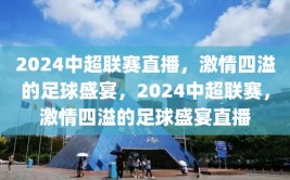 2024中超联赛直播，激情四溢的足球盛宴，2024中超联赛，激情四溢的足球盛宴直播