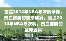 重温2014年NBA总决赛录像，热血沸腾的篮球盛宴，重温2014年NBA总决赛，热血沸腾的篮球盛宴