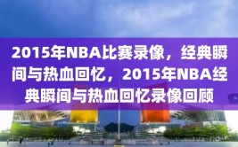 2015年NBA比赛录像，经典瞬间与热血回忆，2015年NBA经典瞬间与热血回忆录像回顾