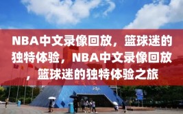 NBA中文录像回放，篮球迷的独特体验，NBA中文录像回放，篮球迷的独特体验之旅