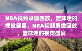 NBA视频录像回放，篮球迷的视觉盛宴，NBA视频录像回放，篮球迷的视觉盛宴