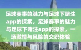 足球赛事的魅力与足球下赌注app的探索，足球赛事的魅力与足球下赌注app的探索，一场激情与风险的交织体验